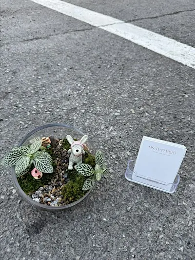 Ms. H Terrarium