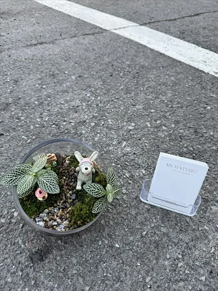 Ms. H Terrarium