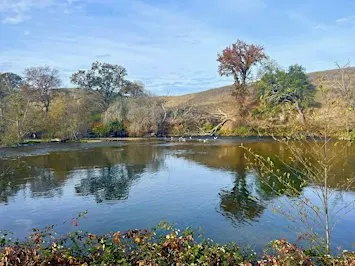 Birding the Mokelumne River Fish Hatchery