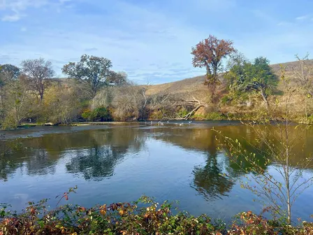 Birding the Mokelumne River Fish Hatchery