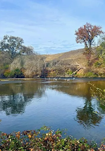 Birding the Mokelumne River Fish Hatchery