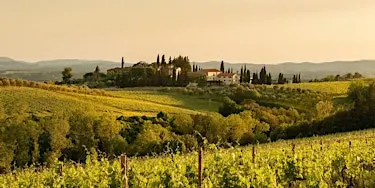 Uncorked: Tour of Barolo
