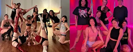 Beginner Pole Dance Workshop! No dance experience needed!