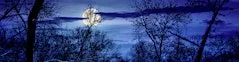 Moonlight Night Hike