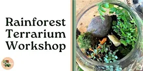 Rainforest Terrarium Workshop