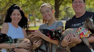 Goat Yoga at Frisco Fresh Market!