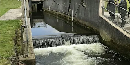 Climate Capability Walk & Talk  -  Truro River