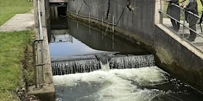 Climate Capability Walk & Talk - Truro River