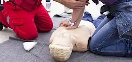 Red Cross Adult & Pediatric CPR/AED/First Aid Instructor Certification