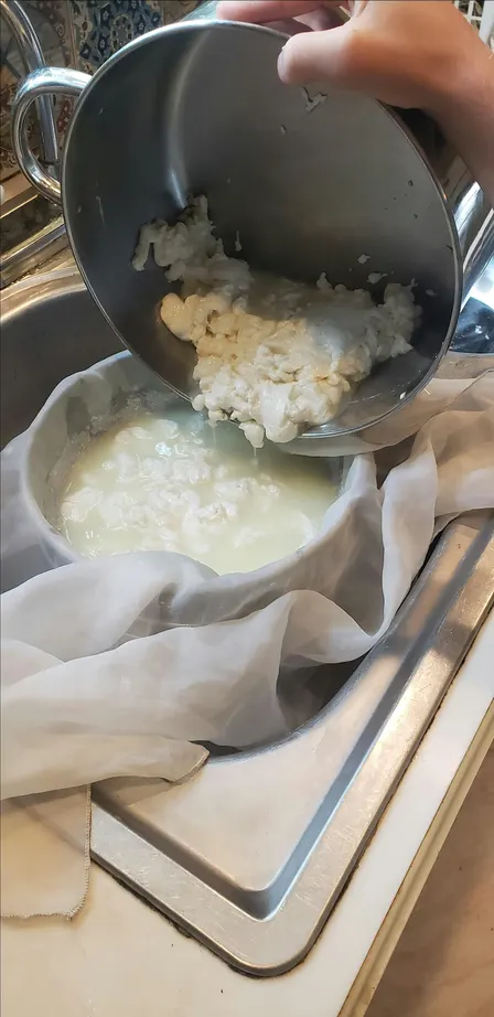 Three Cheeses In 3 Hours - October 24