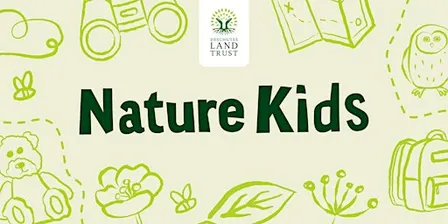 Nature Kids: Batty for Bats!, Hollinshead Park