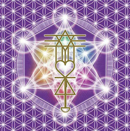Certified Practitioner Training (1-Day) + Rising Star Healing : Oahu HAWAII