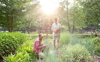 September Garden Volunteer Day
