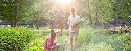 September Garden Volunteer Day