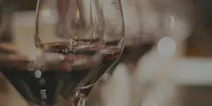 Wines Around Portugal tasting
