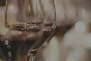 Wines Around Portugal tasting