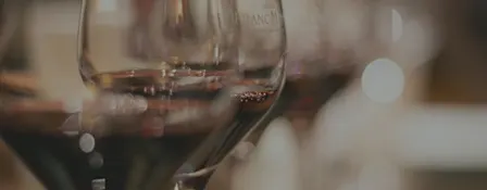 Wines Around Portugal tasting