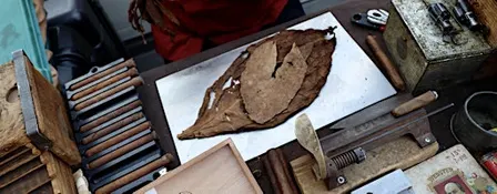 The Art of Cigar Rolling at Black Jack's Cigar Lounge