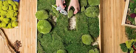 Moss Wall Art Workshop