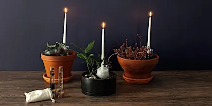 Make-n-Take: Horticultural Spell Jars at Mahoney's Winchester