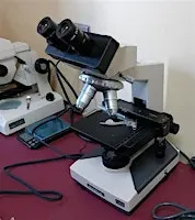 Fecal Egg Count & Soil Biology Microscope Lesson/Open Lab
