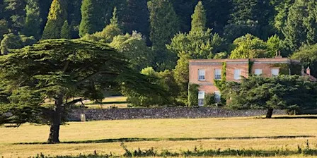 ZEST Singles Killerton walk and lunch at the Red Lion