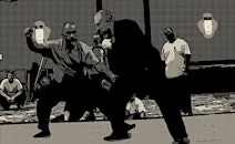 Martial Arts & Hand-to-Hand Combat
