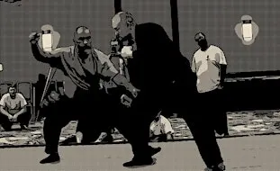 Martial Arts & Hand-to-Hand Combat