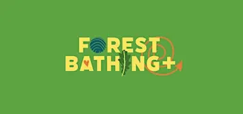 Bite-Size Forest Bathing + on Ashdown Forest, Ridge Carpark