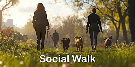 Social Walk September
