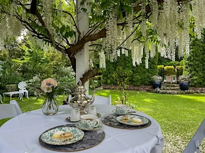 Tea in Kate Sheppard's Home