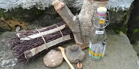 Workshop: Wild crafting with birch (BBC2806)