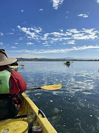 LO Central Coast | Siente el Slough