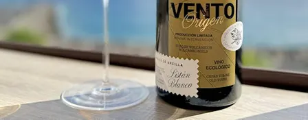Natural Wines of Tenerife South. Bodega Vento, Damian Diaz. Wine Tasting