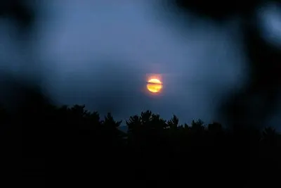 Full Moon Fall Forest Bathing: shinrin-yoku
