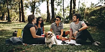 An Introduction to Psychosis