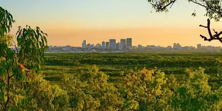 Children's Field Trip | Exploring Ecosystems