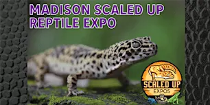 Madison Scaled Up Reptile Expo 11-08-2026