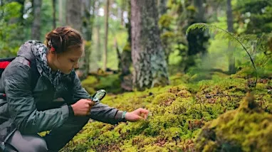 Winter Skills of a Naturalist:  The Quiet Science of Mosses