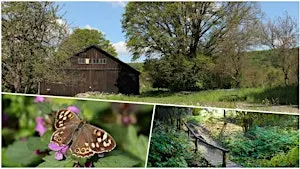 Social Hike: Rosebud Valley