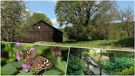 Social Hike: Rosebud Valley