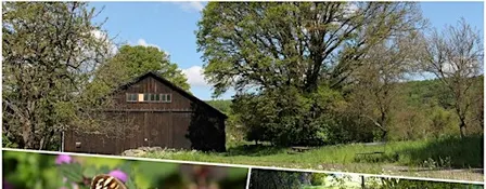 Social Hike: Rosebud Valley
