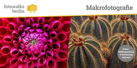 Fotokurs Berlin: Makrofotografie  Indoor  am 21.11.2026 + Bildbesprechung