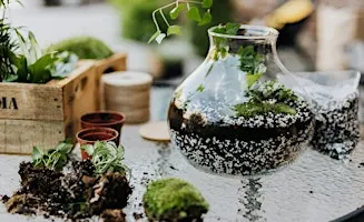 Terrarium Building Workshop in Asheville