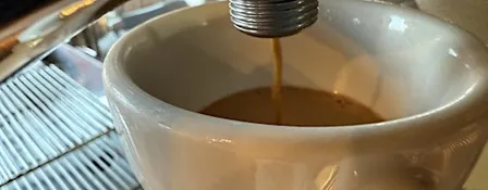 Professional Barista Training- Espresso and Milk Skills
