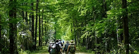 Hike the Loop!