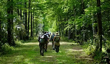 Hike the Loop!