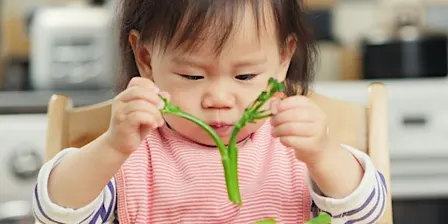 Introduction to Solid Foods Workshop, 09:30 - 11:00, 19/10/2026