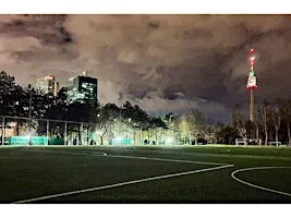 FRIENDLY FOOTBALL FESTIVAL 7v7 Tourney  with 4 Teams