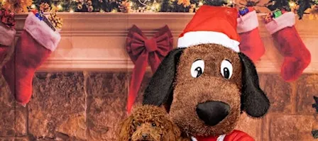 Meet and Greet with Santa Paws!
